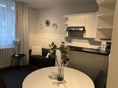 furnished-studio-apartment-in-brussels-schuman- BR499As